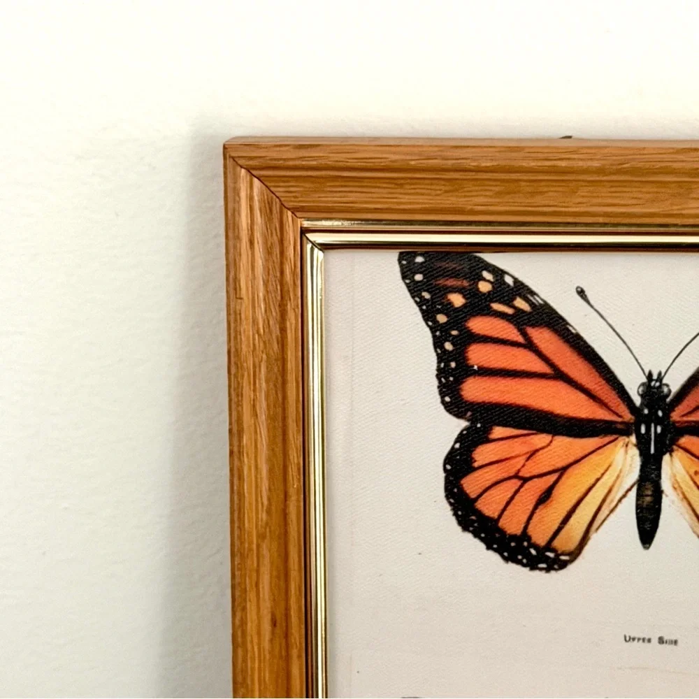 Monarch Butterfly Pair Vintage Style Canvas Art Print Wood Framed Wall Hang Art
